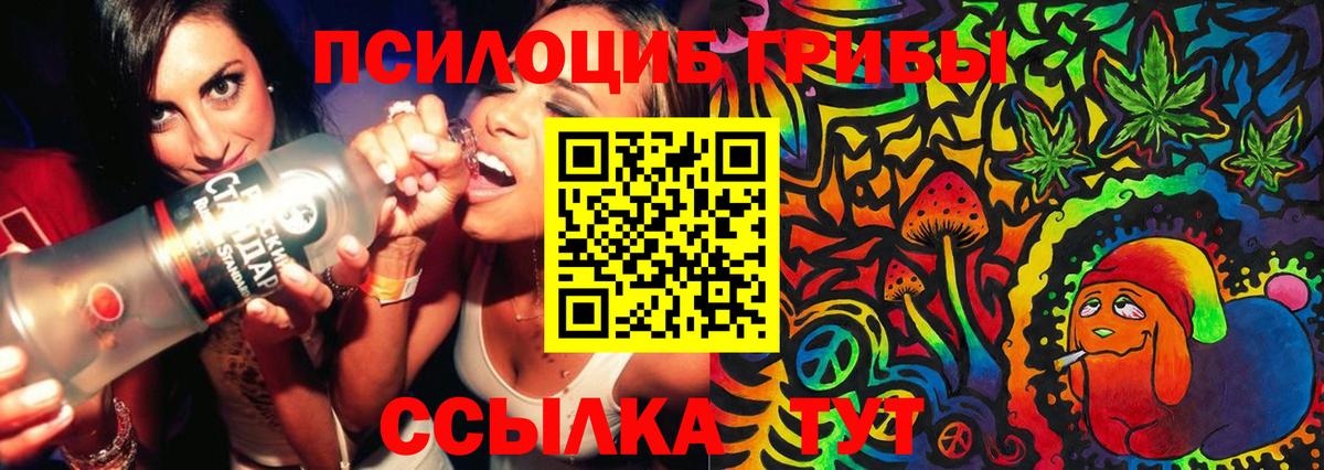 Псилоцибиновые грибы Psilocybe  Галлюциногенные грибы мицелий  Вход с VPN  Славгород 