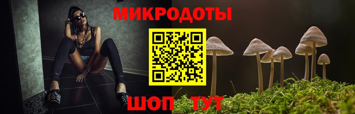 Галлюциногенные грибы прущие грибы Славгород